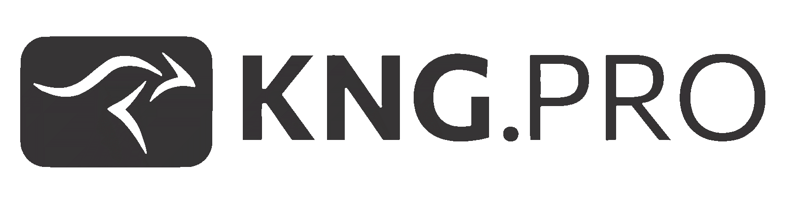Kenguru Group Logo